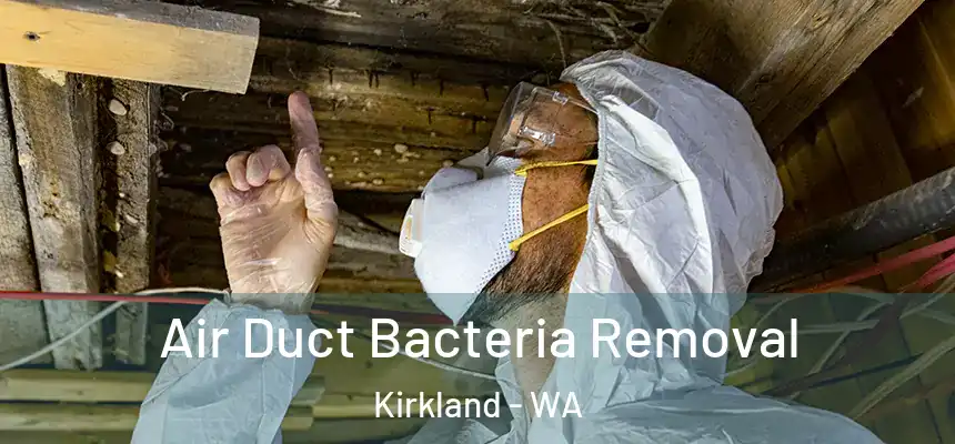Air Duct Bacteria Removal Kirkland - WA