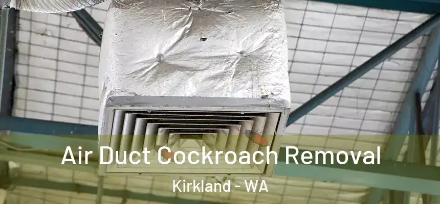 Air Duct Cockroach Removal Kirkland - WA
