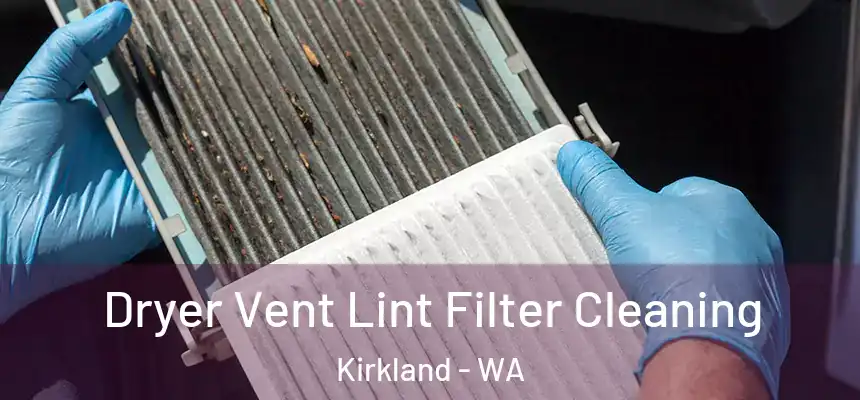 Dryer Vent Lint Filter Cleaning Kirkland - WA