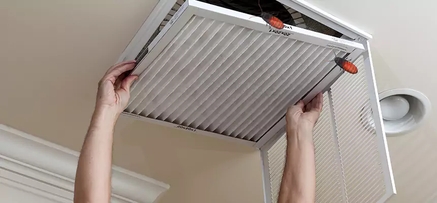 Preventive Cockroach-Proofing for Ducts in Kirkland