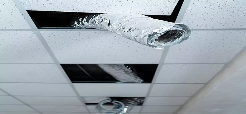 Affordable HVAC Sanitizing After Pest Removal in Kirkland