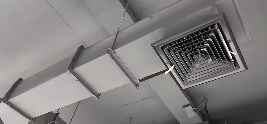 Our Pest Removal From Ducts Services in Kirkland, WA