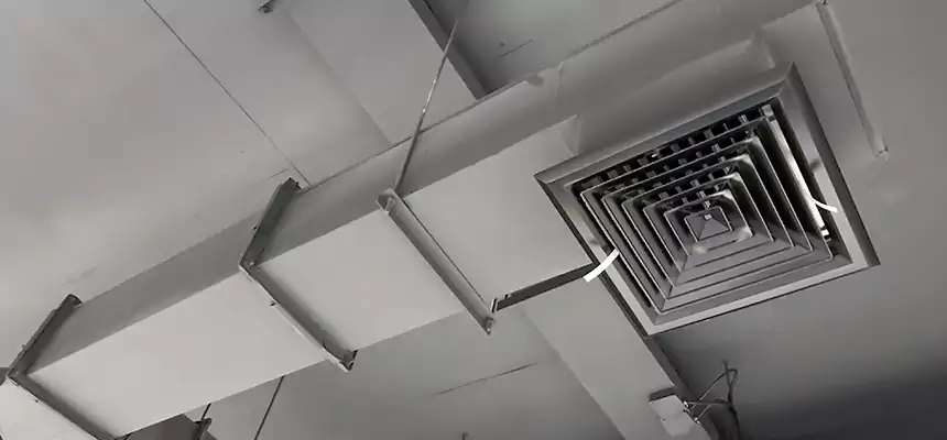 Our Rodent Droppings In Vents Services in Kirkland, WA