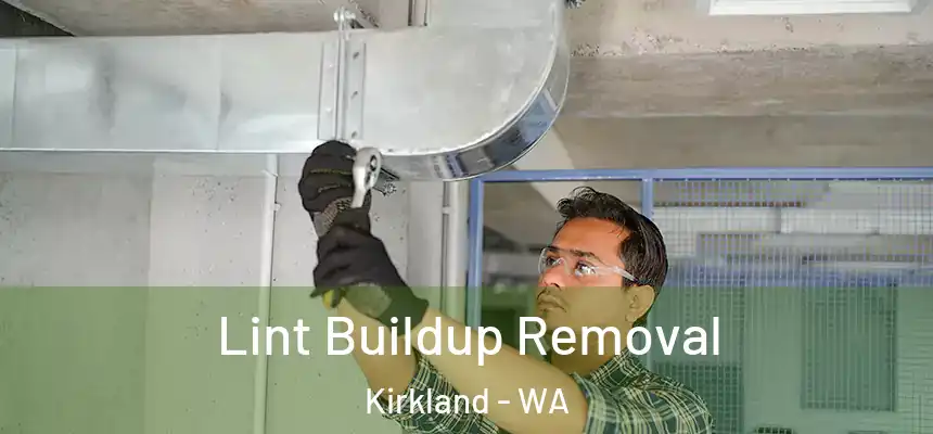 Lint Buildup Removal Kirkland - WA