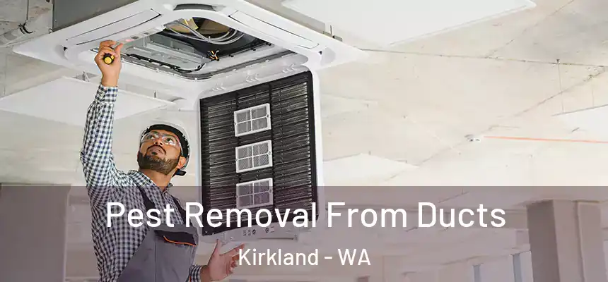  Pest Removal From Ducts Kirkland - WA