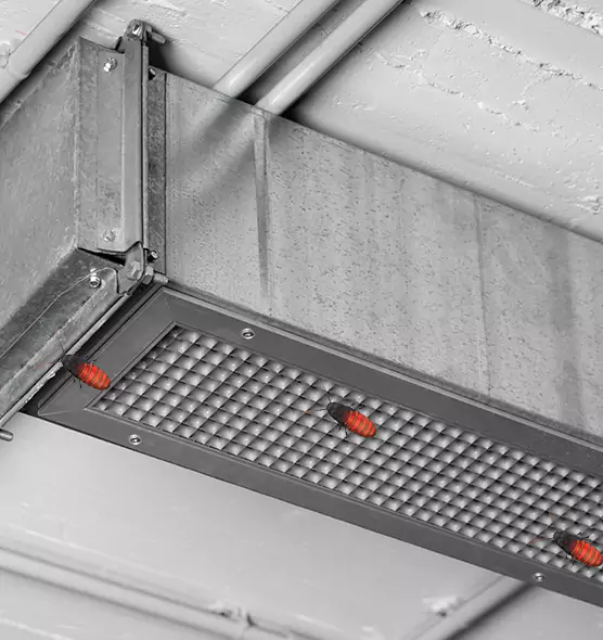 About Air Duct Cockroach Removal in Kirkland, WA