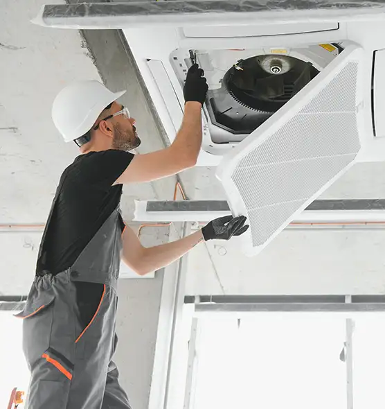 About Air Duct Rodent Removal in Kirkland, WA