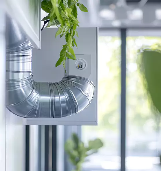 Professional Eco-Friendly Duct Cleaning Services in Kirkland, WA