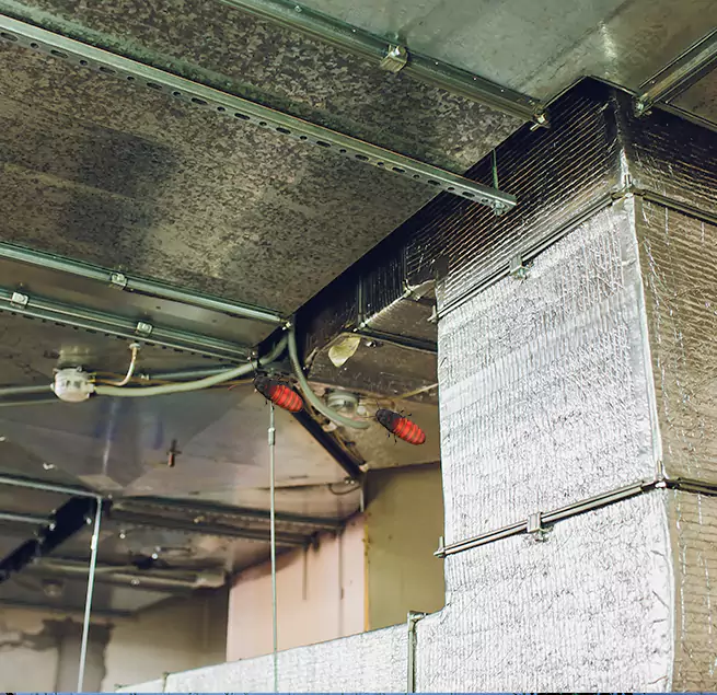 Why Homeowners & Businesses Trust Us in Kirkland, WA?