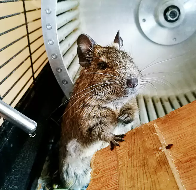 Why Homeowners & Businesses Trust Us Kirkland, WA?