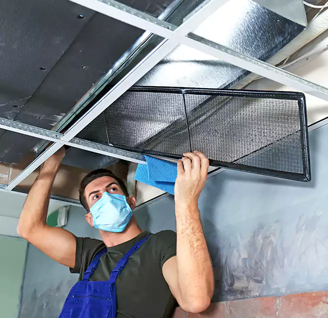 Why Homeowners Businesses Trust Us in Kirkland, WA