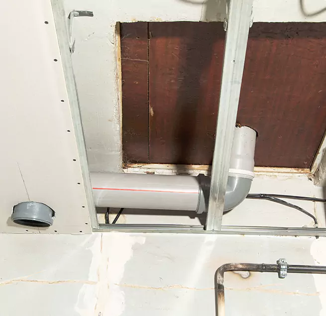 Why Homeowners & Businesses Trust Us in Kirkland, WA?