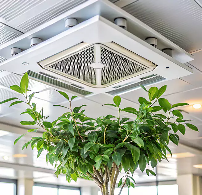 Why Homeowners & Businesses Trust Us in Kirkland, WA?